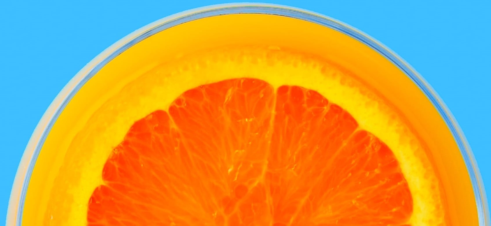 Orange image banner 